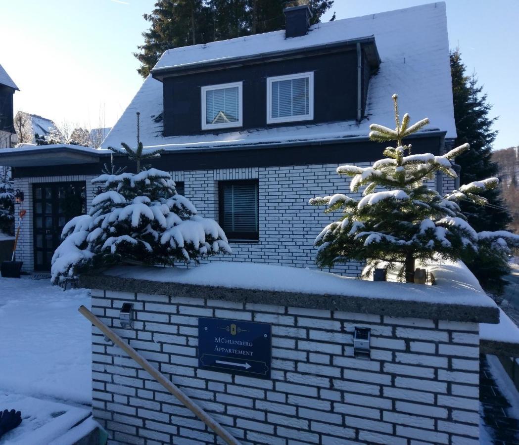 Apartment Muehlenberg Winterberg Extérieur photo